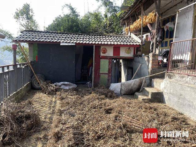 杀熊救妻！四川北川女子遭黑熊袭击 58岁丈夫搏斗半小时反杀黑熊