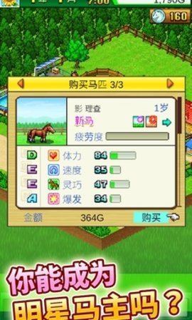 杀马币(杀马特发型)